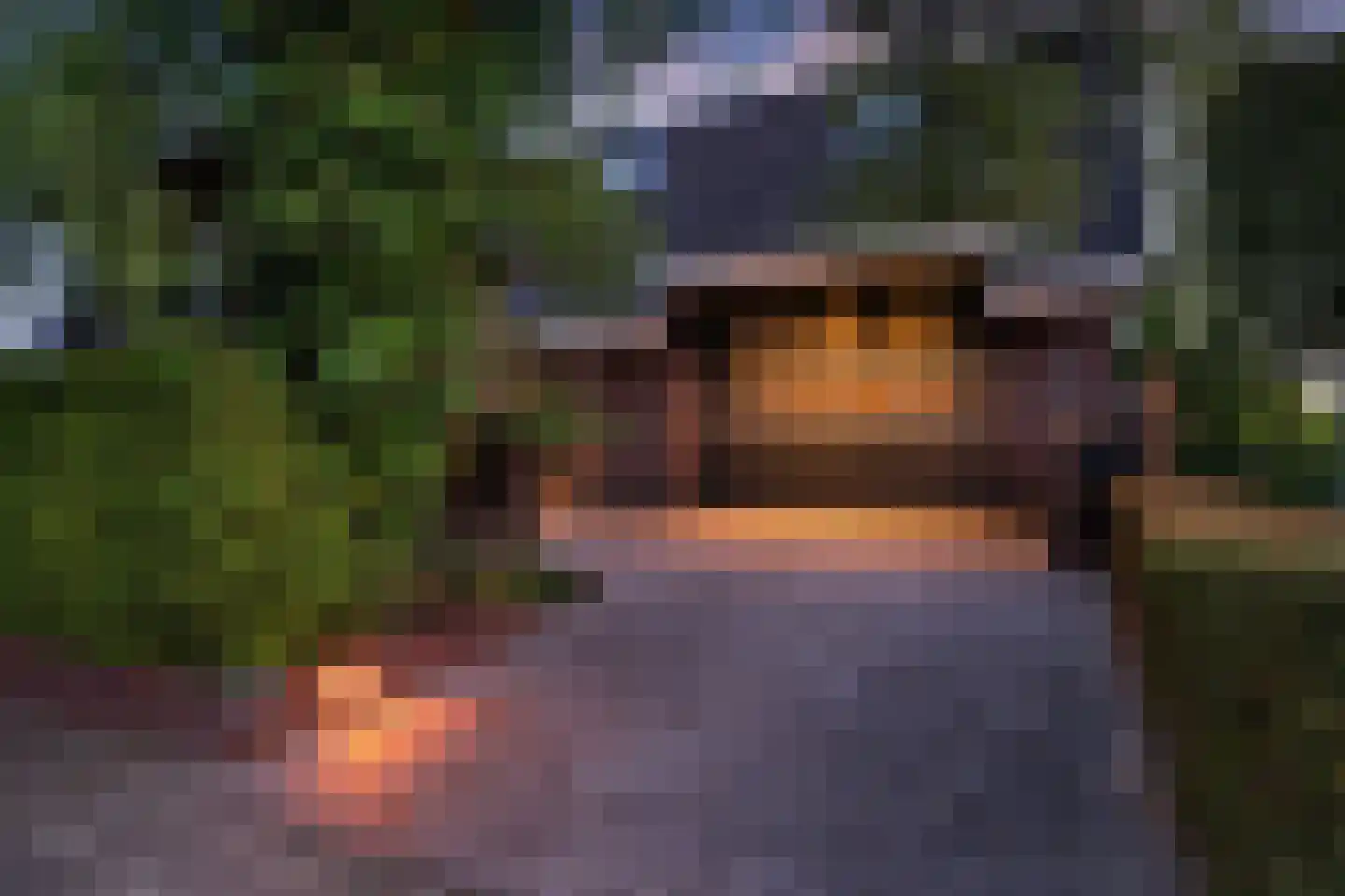 Bartemerwei 11 Surhuizum thumbnail 57