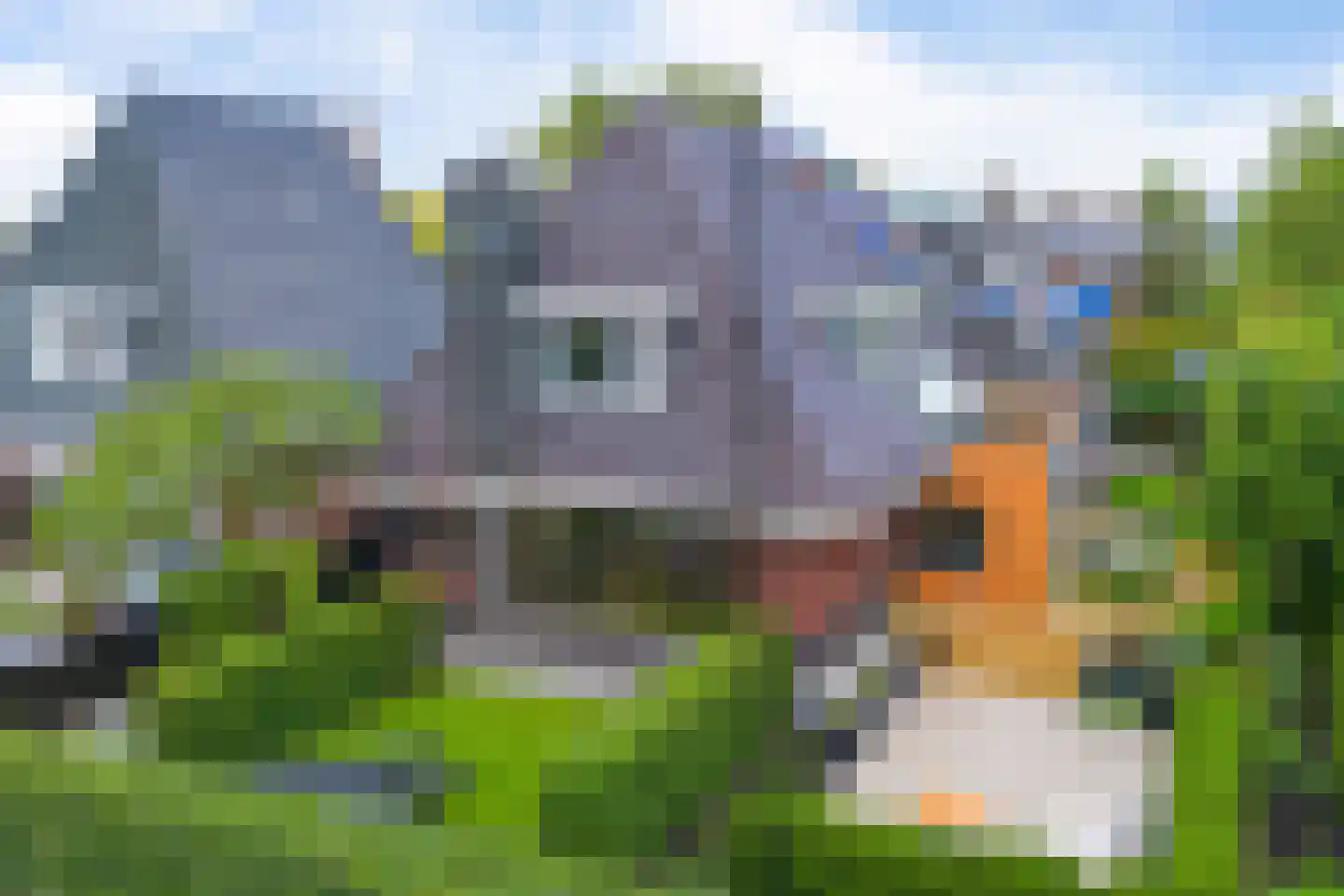 Bartemerwei 11 Surhuizum thumbnail 6