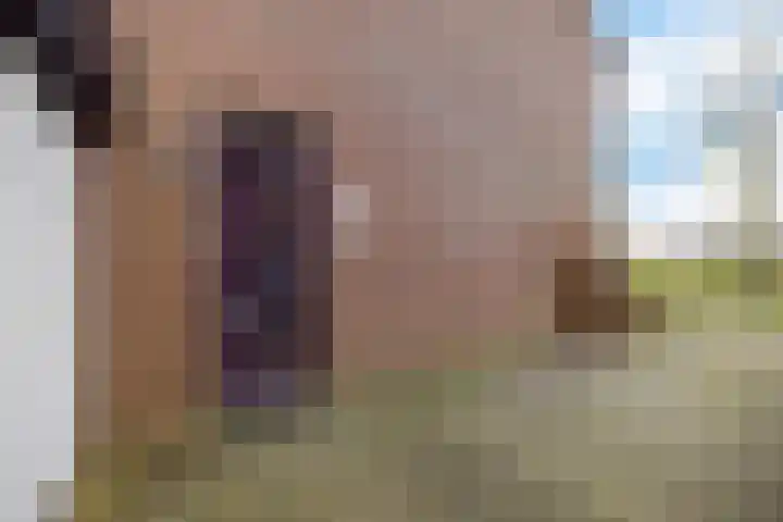 Barten 26 Heerenveen thumbnail 10