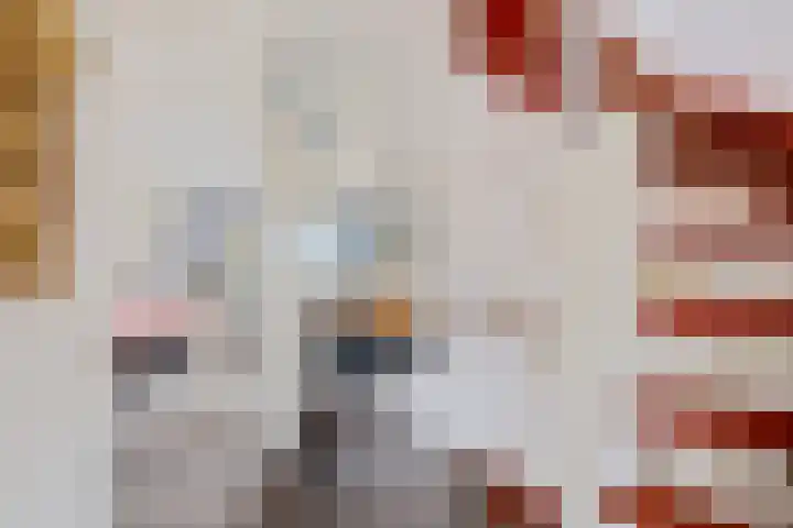 Barten 26 Heerenveen thumbnail 23