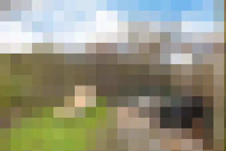 Barten 26 Heerenveen thumbnail 38