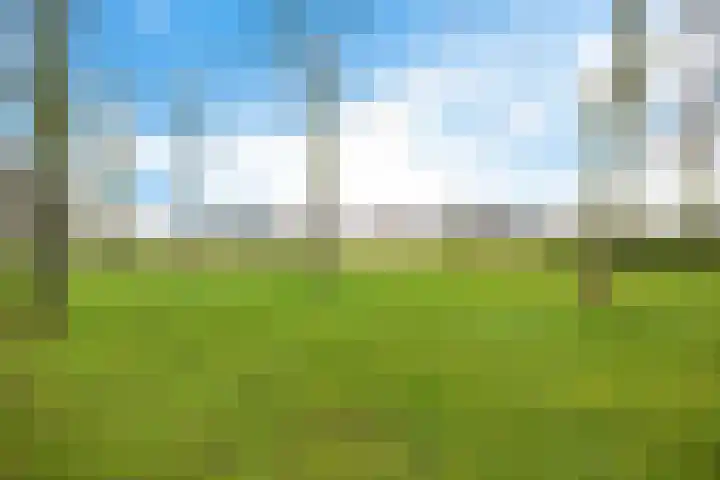 Barten 26 Heerenveen thumbnail 45