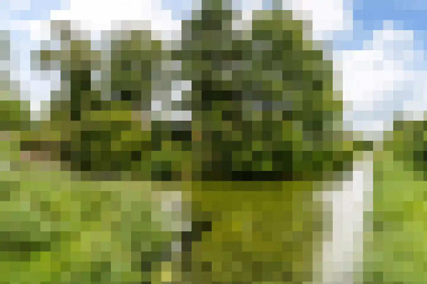 Barten 27 Heerenveen thumbnail 15
