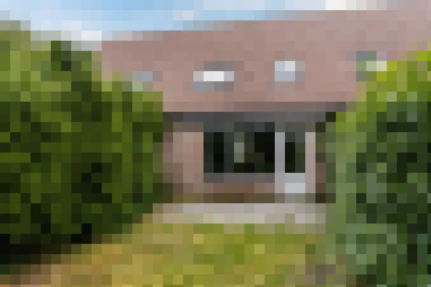 Barten 27 Heerenveen thumbnail 17