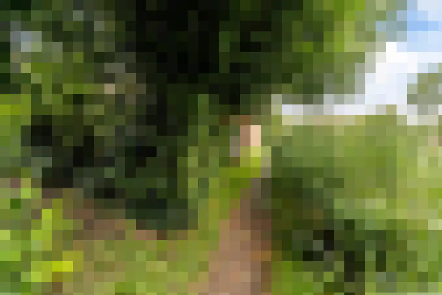 Barten 27 Heerenveen thumbnail 18
