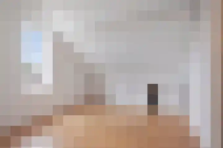 Barten 44 Heerenveen thumbnail 25