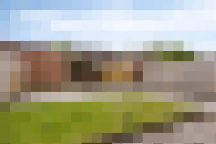 Barten 44 Heerenveen thumbnail 27