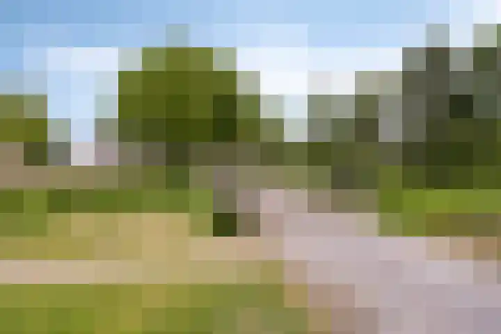 Barten 44 Heerenveen thumbnail 29
