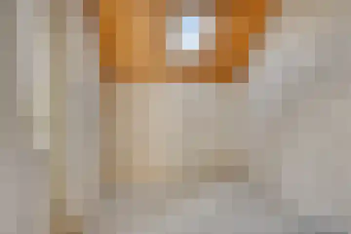 Barten 44 Heerenveen thumbnail 30
