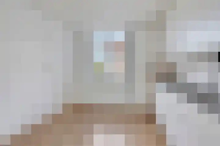 Barten 44 Heerenveen thumbnail 8