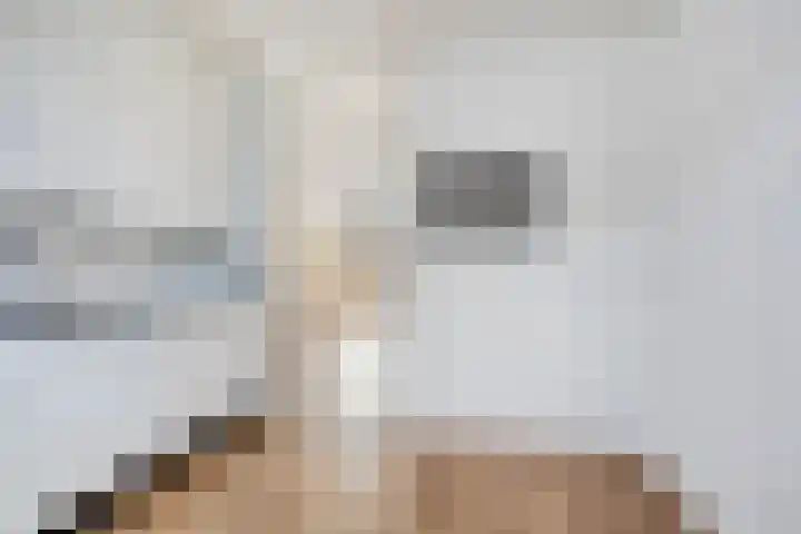 Barten 44 Heerenveen thumbnail 9