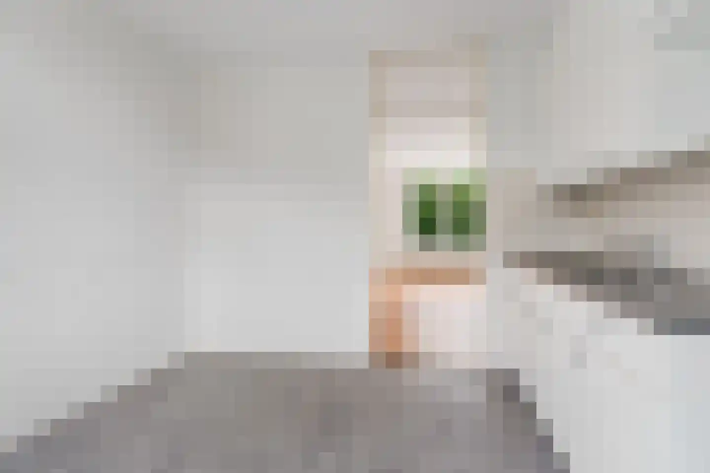 Barten 51 Heerenveen thumbnail 18