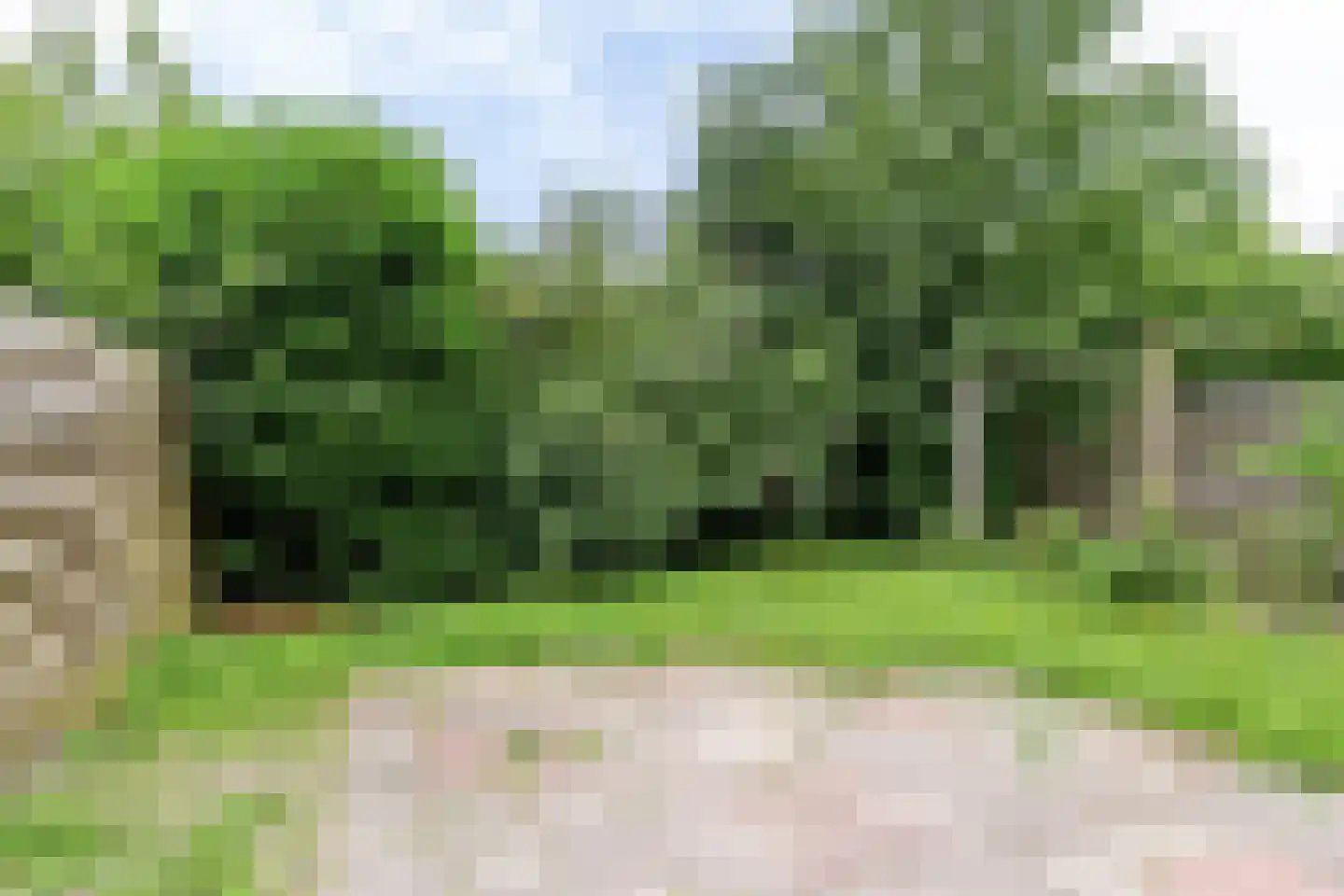 Barten 51 Heerenveen thumbnail 20