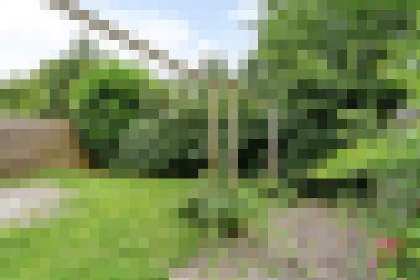 Barten 51 Heerenveen thumbnail 22