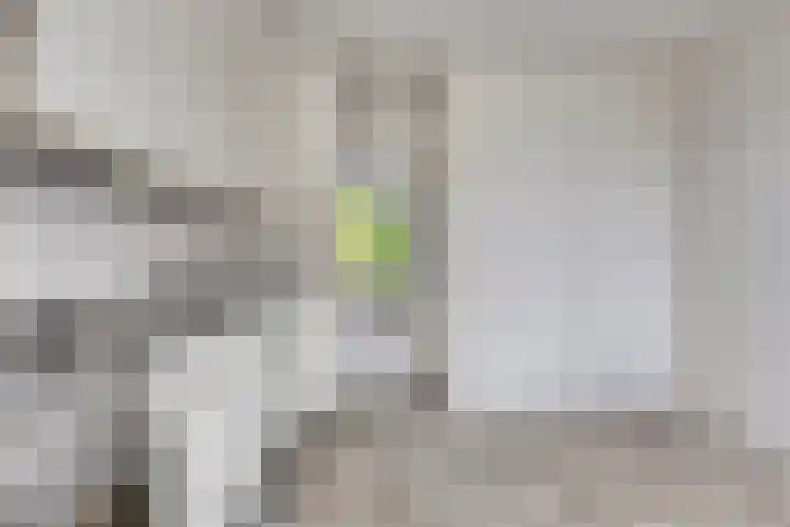 Barten 57 Heerenveen thumbnail 13