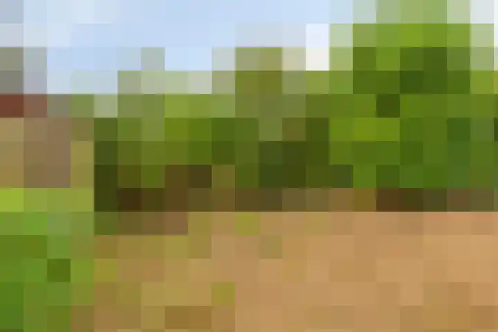 Barten 57 Heerenveen thumbnail 25