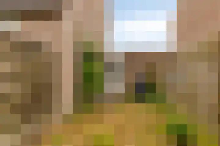 Barten 57 Heerenveen thumbnail 27