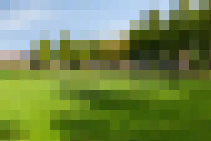 Barten 57 Heerenveen thumbnail 31