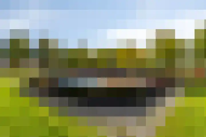 Barten 57 Heerenveen thumbnail 32
