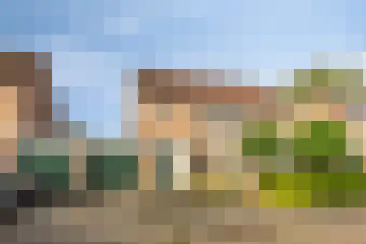 Barten 57 Heerenveen thumbnail 33