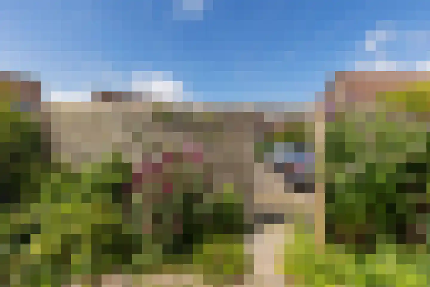 Barten 60 Heerenveen thumbnail 36