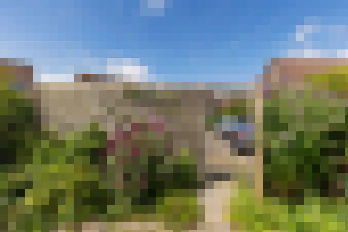 Barten 60 Heerenveen thumbnail 37