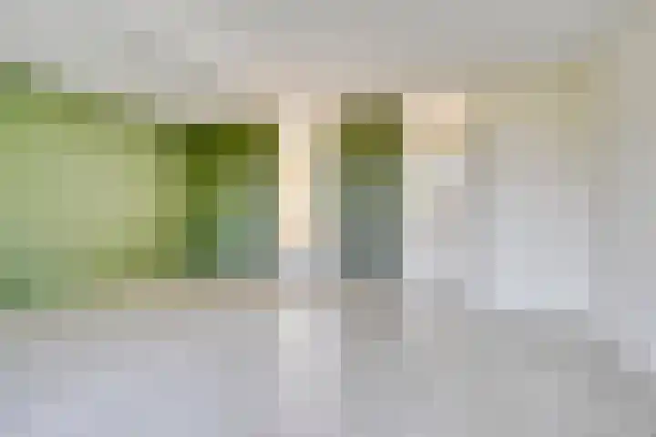 Barten 69 Heerenveen thumbnail 16