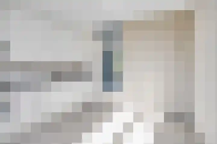 Barten 69 Heerenveen thumbnail 18