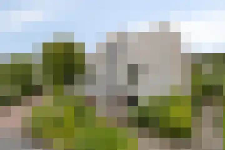 Barten 69 Heerenveen thumbnail 29