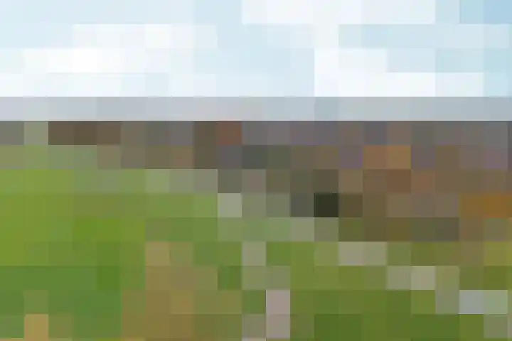 Barten 69 Heerenveen thumbnail 36