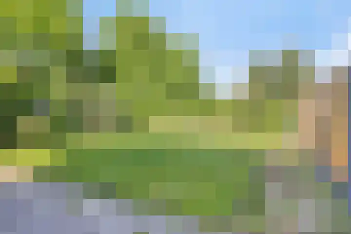 Barten 69 Heerenveen thumbnail 38