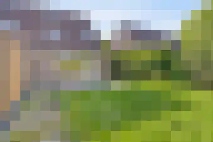 Barten 69 Heerenveen thumbnail 39