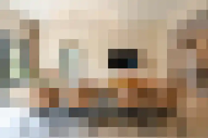 Barten 69 Heerenveen thumbnail 41