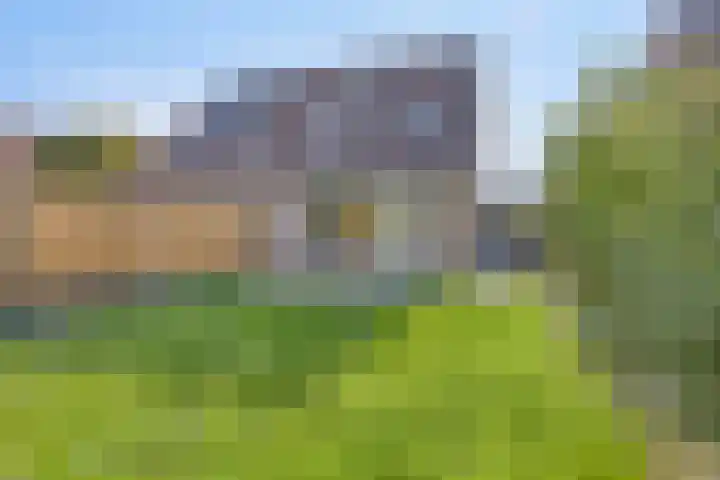 Barten 69 Heerenveen thumbnail 5