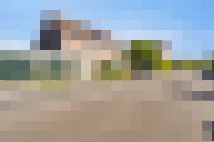 Barten 69 Heerenveen thumbnail 6