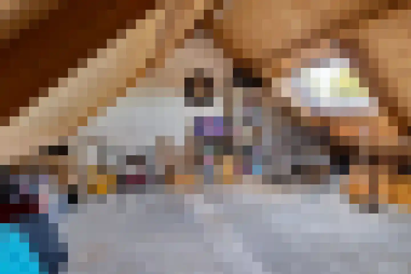 Barten 71 Heerenveen thumbnail 28