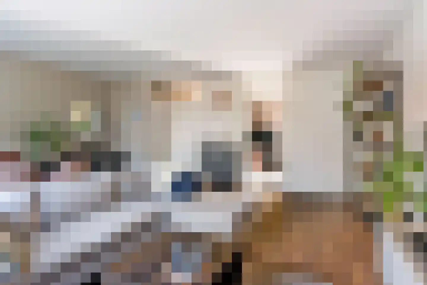 Barten 71 Heerenveen thumbnail 8