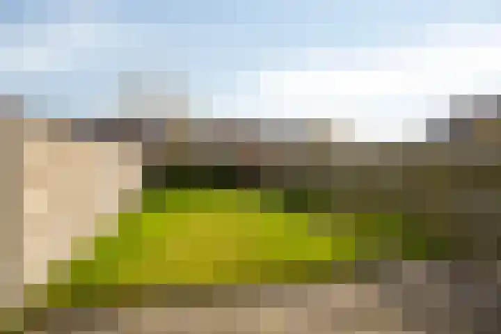 Barten 88 Heerenveen thumbnail 28