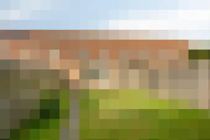 Barten 88 Heerenveen thumbnail 29