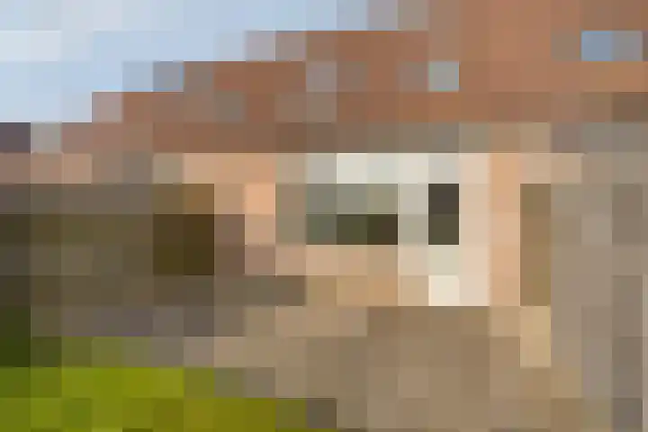Barten 88 Heerenveen thumbnail 30