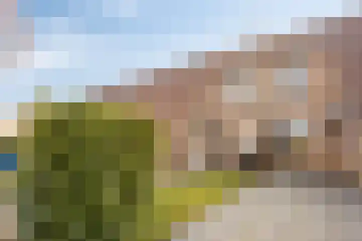 Barten 88 Heerenveen thumbnail 31