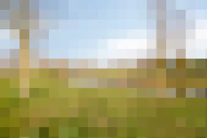 Barten 88 Heerenveen thumbnail 32
