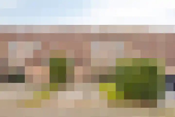 Barten 88 Heerenveen thumbnail 4
