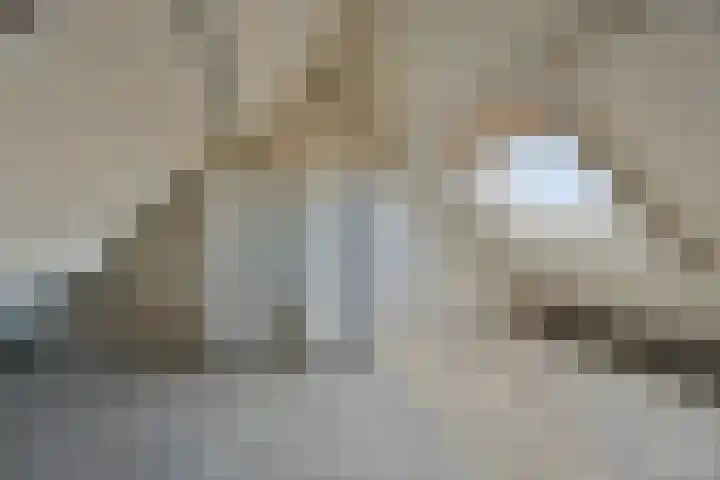 Barten 92 Heerenveen thumbnail 25