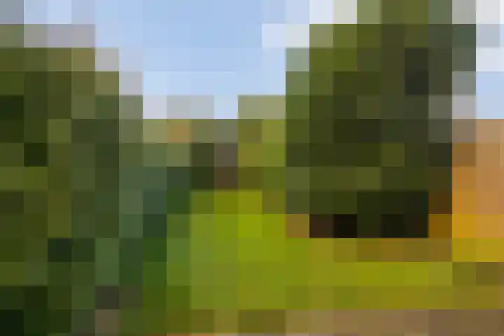 Barten 92 Heerenveen thumbnail 27