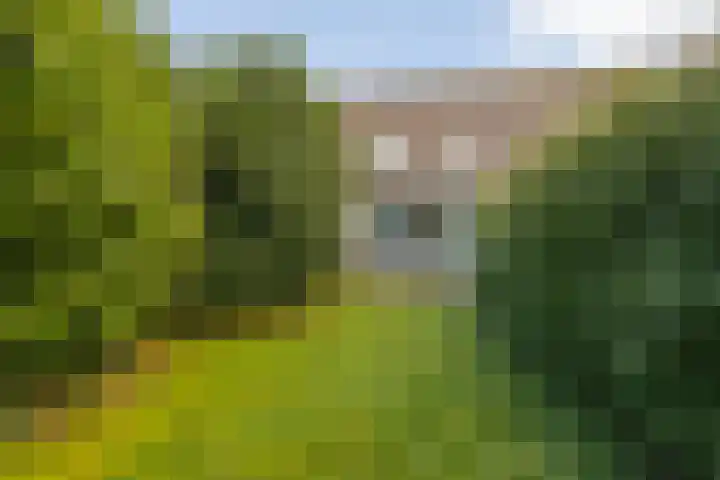 Barten 92 Heerenveen thumbnail 31