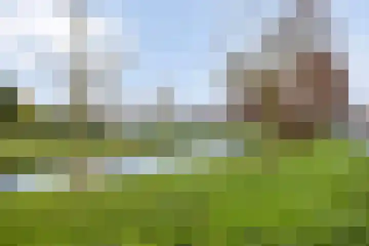 Barten 92 Heerenveen thumbnail 33