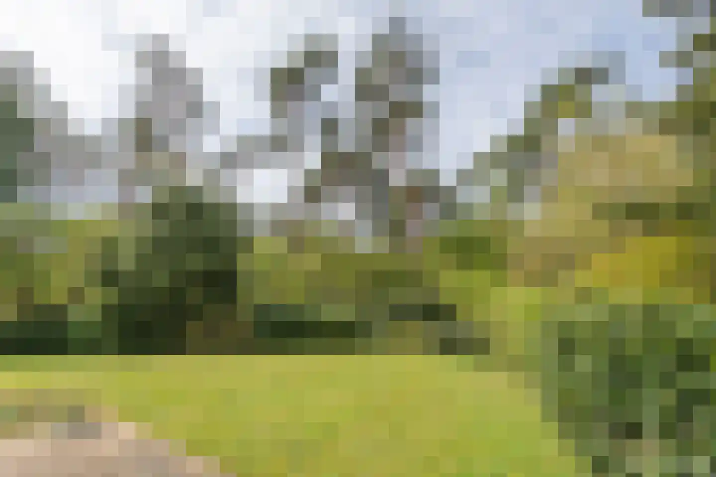 Barteweg 15 27 Ede thumbnail 22