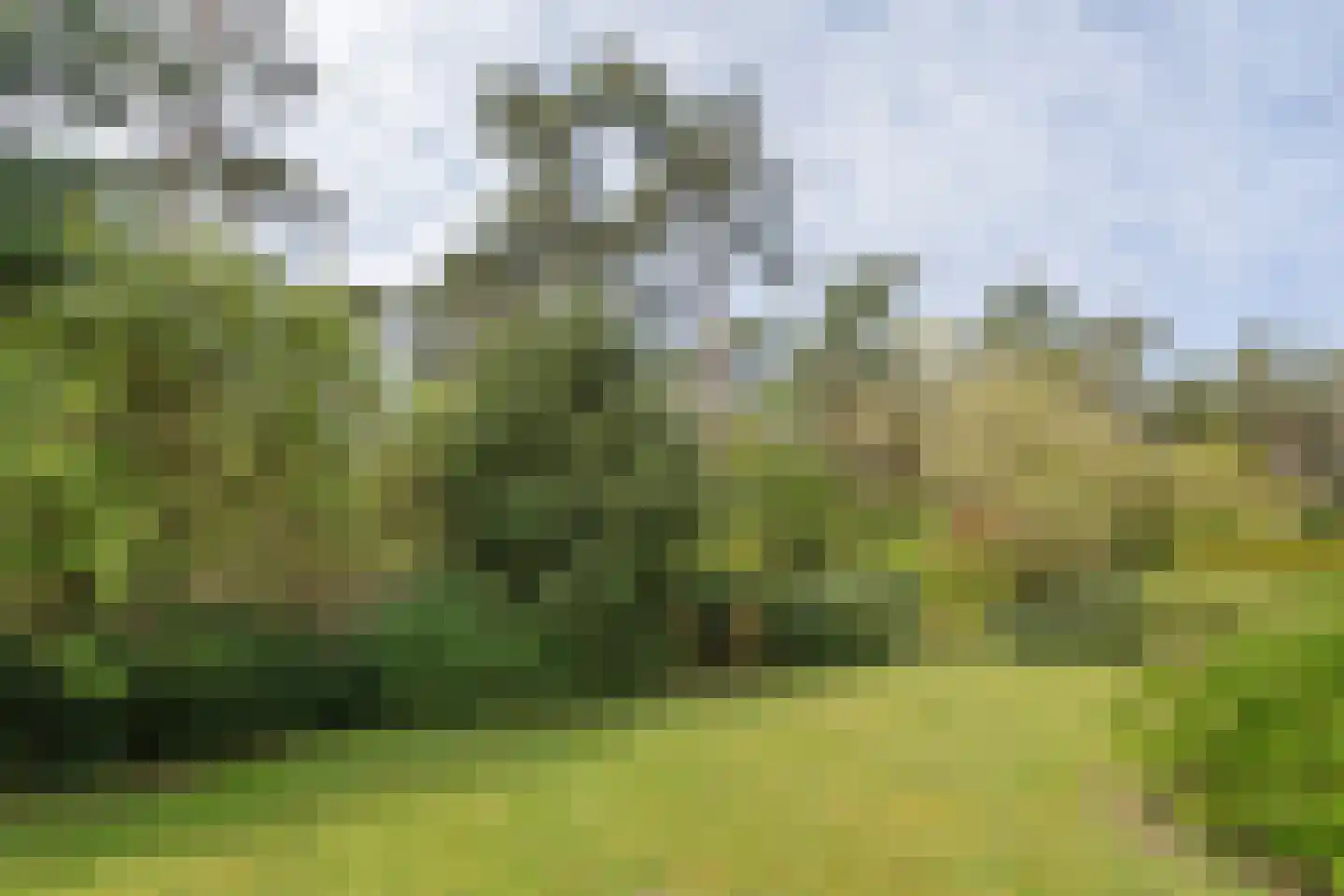 Barteweg 15 27 Ede thumbnail 24