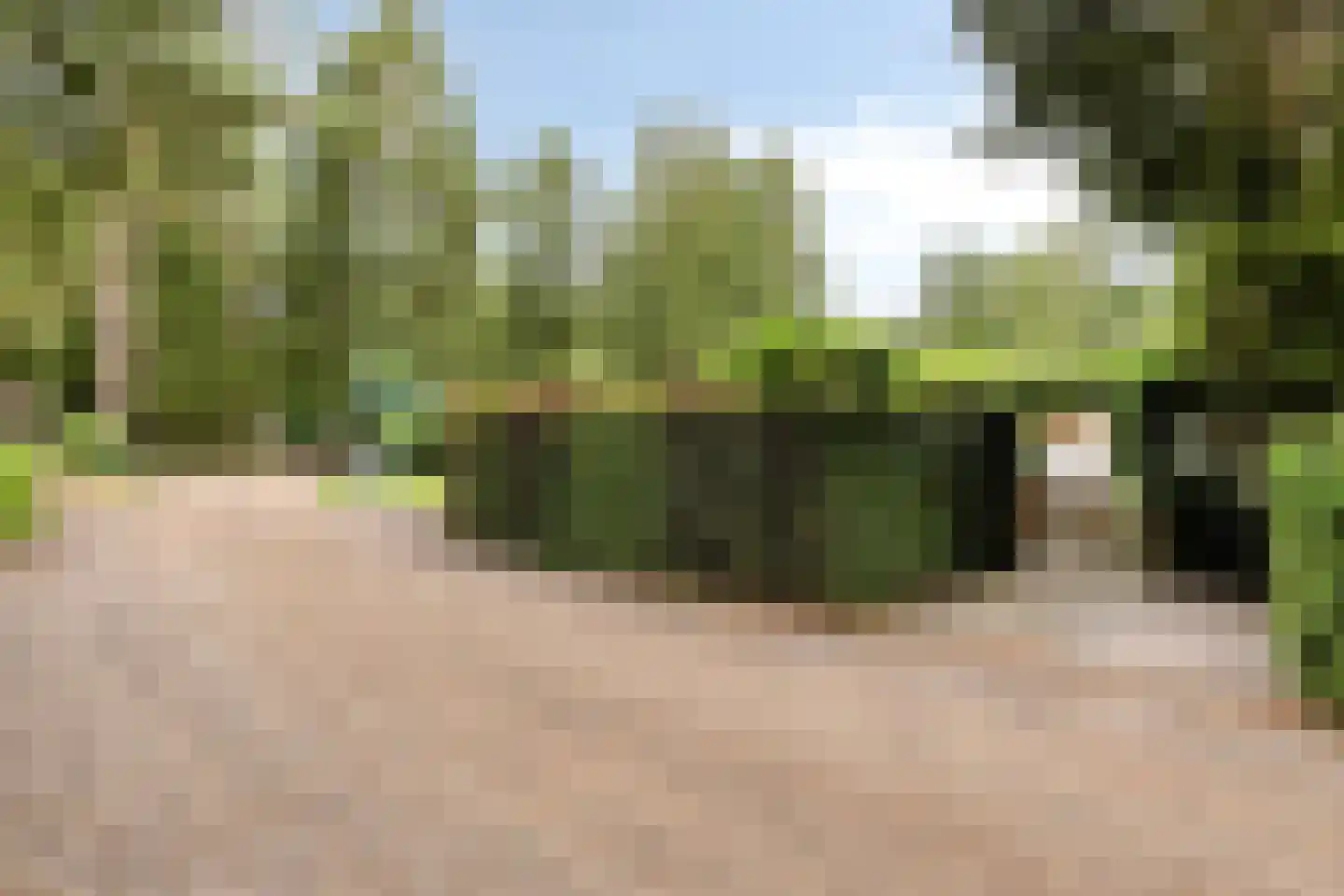 Barteweg 15 384 Ede thumbnail 7